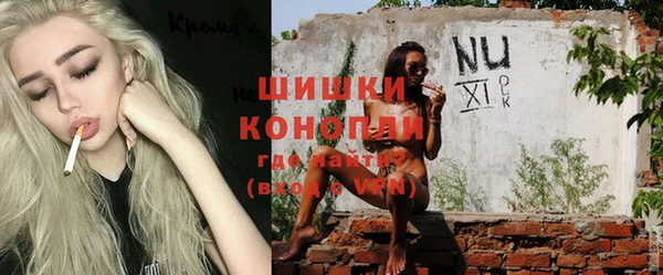 шишки Алексеевка