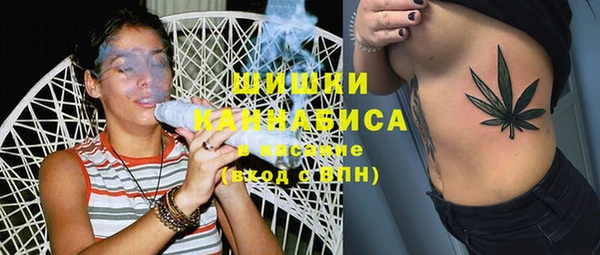 шишки Алексеевка